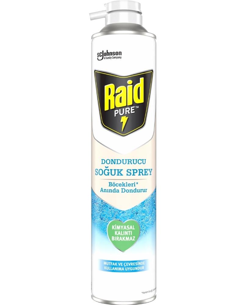 Raid Pure Böcek Dondurucu Sprey 350 ml