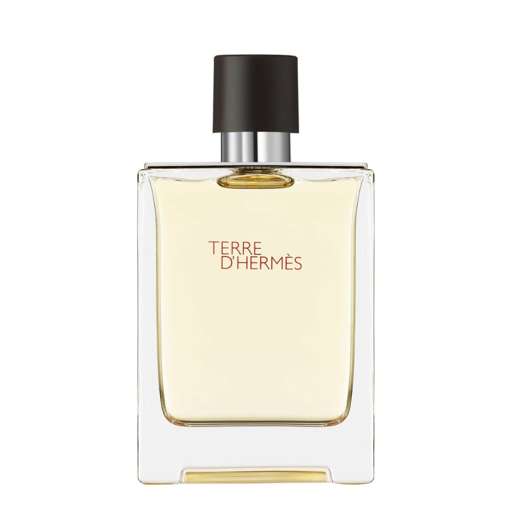 Hermes Terre D'Hermes Erkek Parfüm Edt 100 Ml
