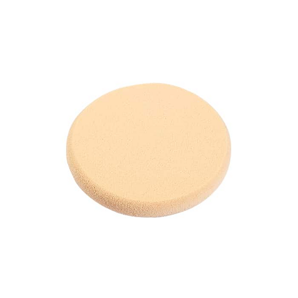 Lionesse Latex Premium 2541