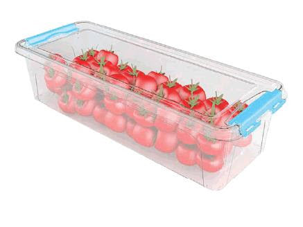 Çankaya 2276 Maxi Saklama Kabı 3,5 Litre-bpa İçermez