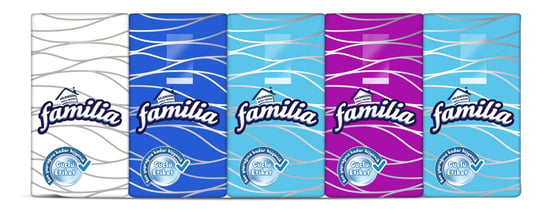 Familia Cep Mendili 10'lu