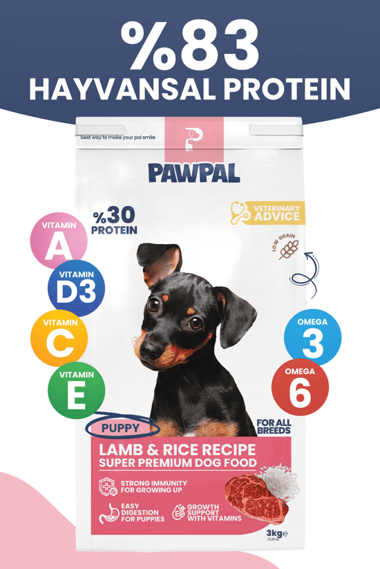 Pawpal Kuzu Eti ve Pirinçli Süper Premium Yavru Köpek Maması 3kg