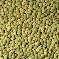 Emin Yeşil Mercimek Dökme 1 Kg